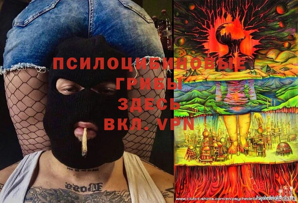 МДПВ Иннополис