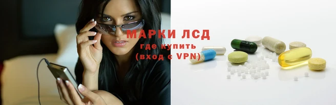 мяу мяу мука Инта